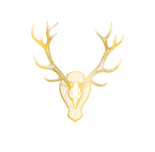 elk