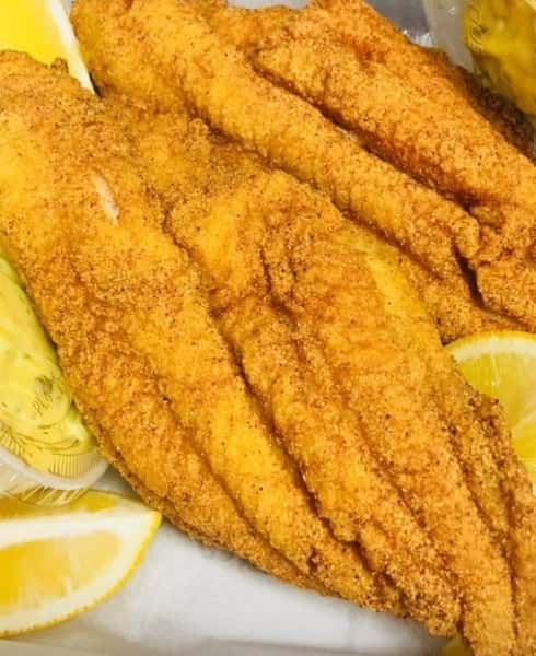 Catfish Filet