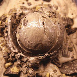 Chocolate Peanut Butter Cup
