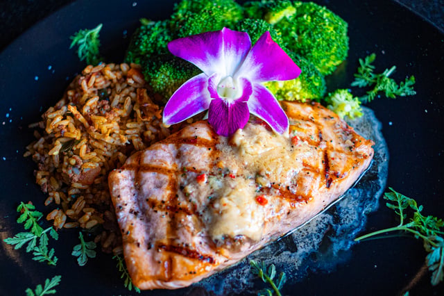 Salmon