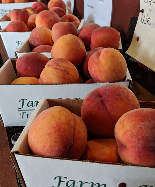 Tree Ripened Peaches