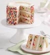 Rainbow Sprinkle Birthday Cake