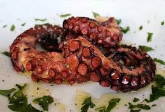 Octopus Mediterranean The Beach House Seafood Restaurant in