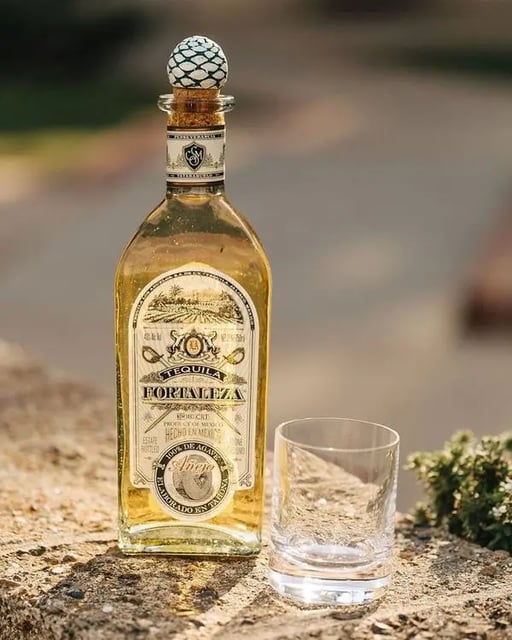 Fortaleza Anejo
