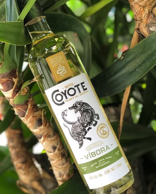 Coyote Vibora Sotol