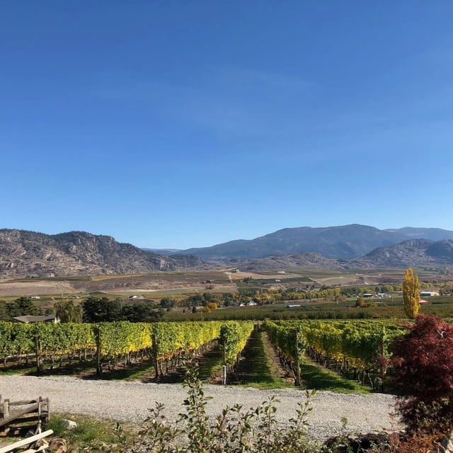 Rust ~ 2022 Syrah