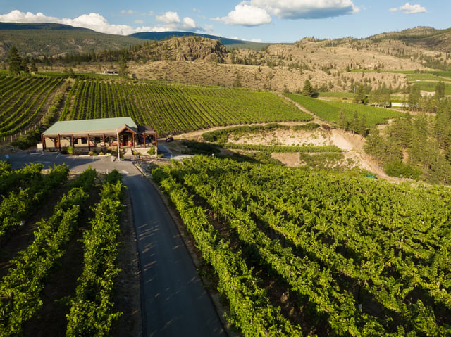The Stag's Hollow Albariño