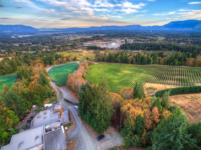 Averill Creek ~ Charme de l'ile Sparkling