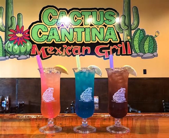 Menu - Cactus Cantina Mexican Grill - Mexican Restaurant