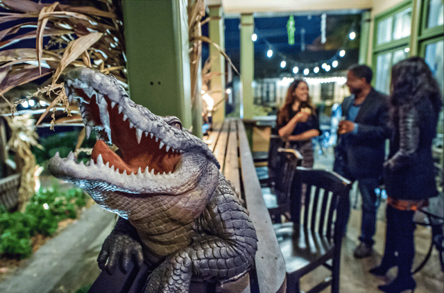 Alligator Bites Flatlands Bourbon and Bayou Creole Restaurant