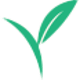 Vegan