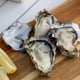 Oysters