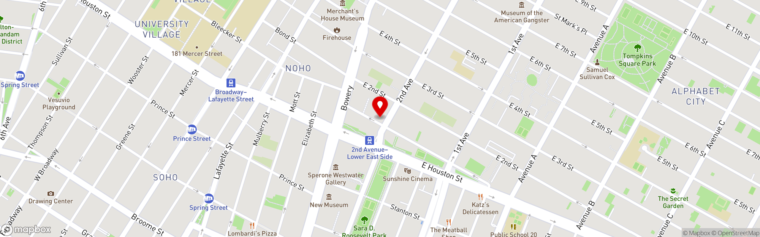 Street map pinning Blue Ribbon Fried Chicken in East Village - NY