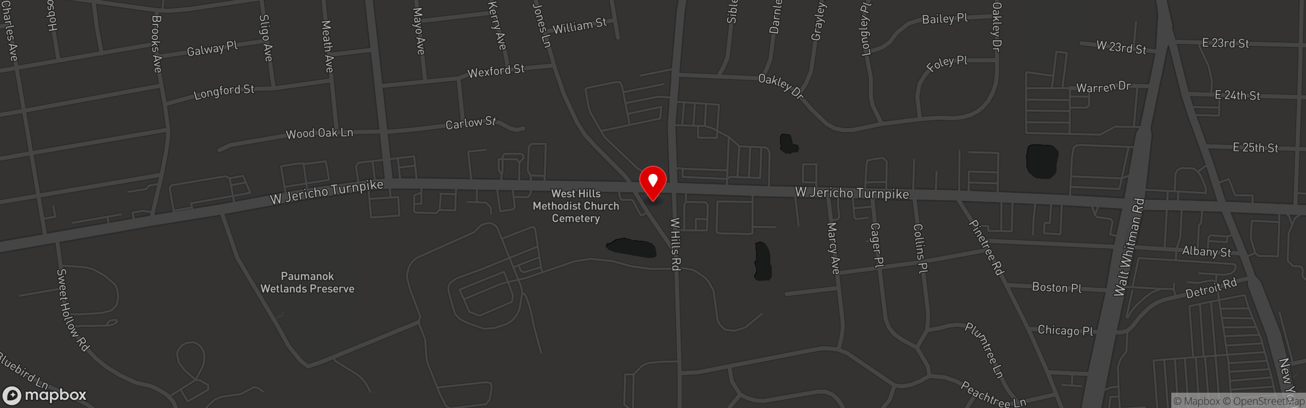 Street map pinning Cactus Cafe in Jericho Turnpike