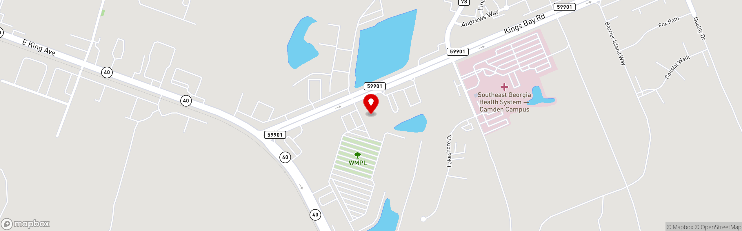 Street map pinning Southern Roost in Kingsland