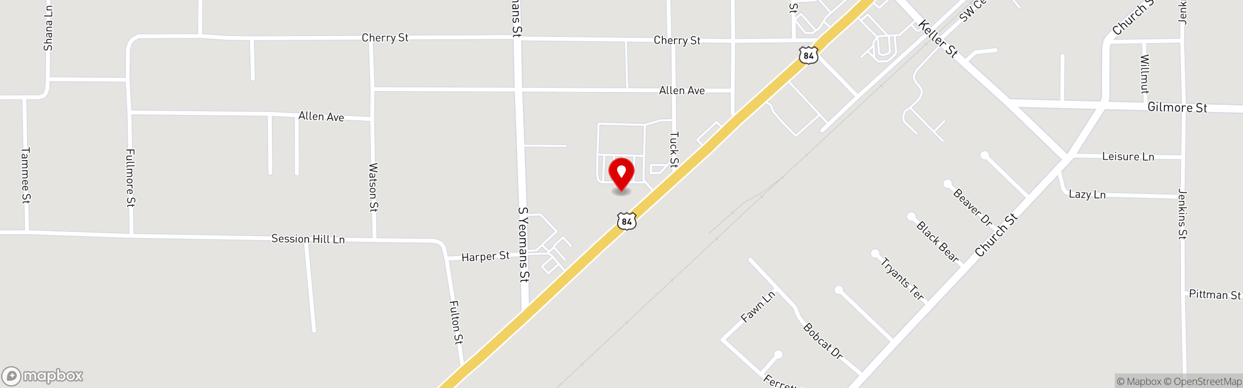 Street map pinning Southern Roost in Blackshear