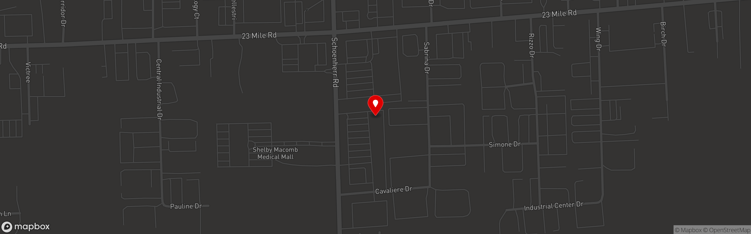Street map pinning National Coney Island in Shelby Township
