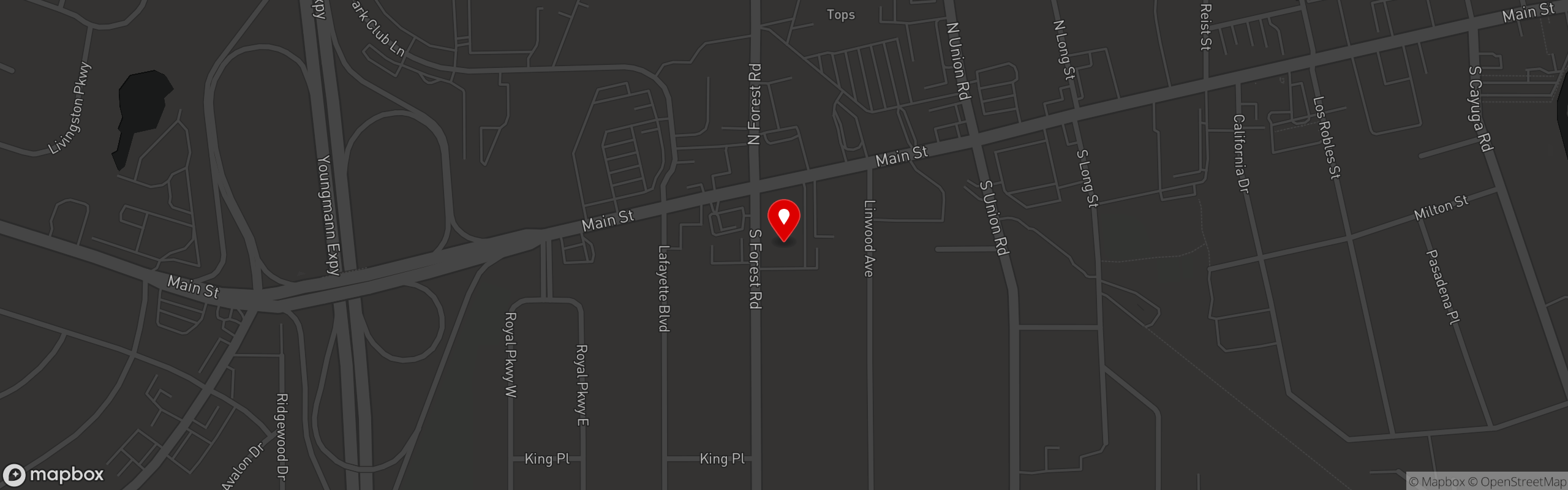 Street map pinning Steelbound in Williamsville