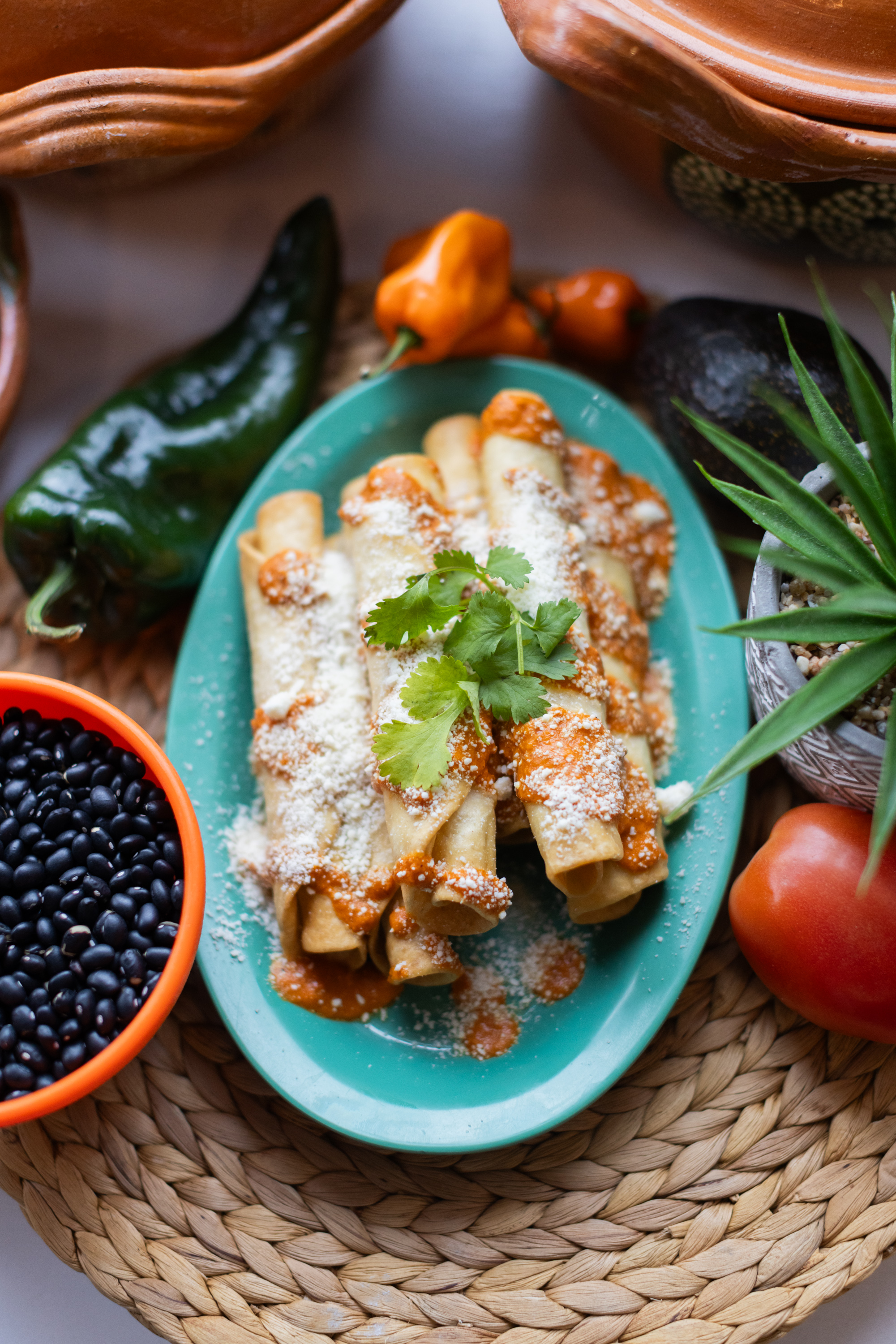 Enchiladas (Single) Mexican Spice