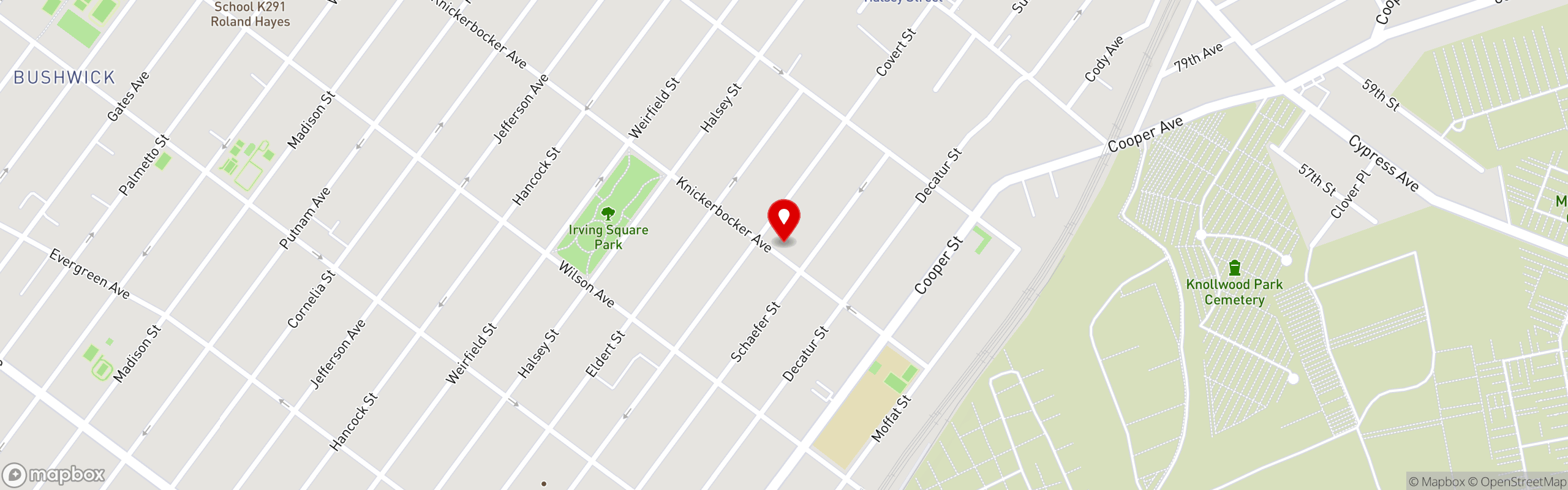 Street map pinning Bushwick Taco Company in Knickerbocker Avenue