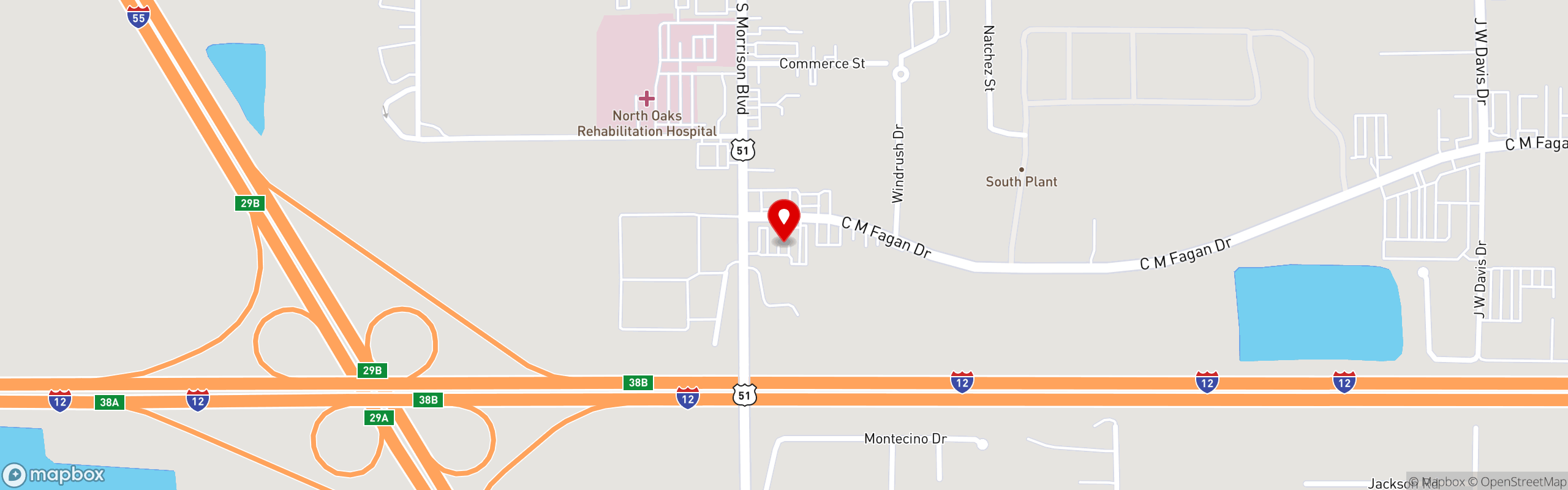 Street map pinning Don's Seafood in Hammond, LA