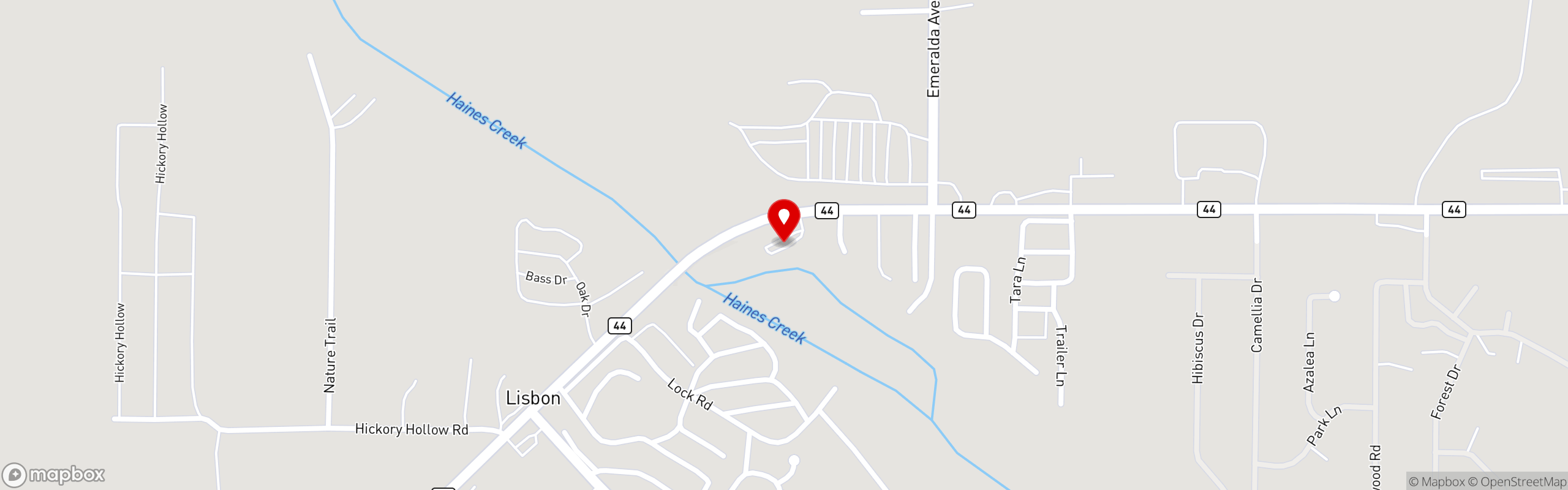 Street map pinning Gator Bay Bar & Grill in Leesburg