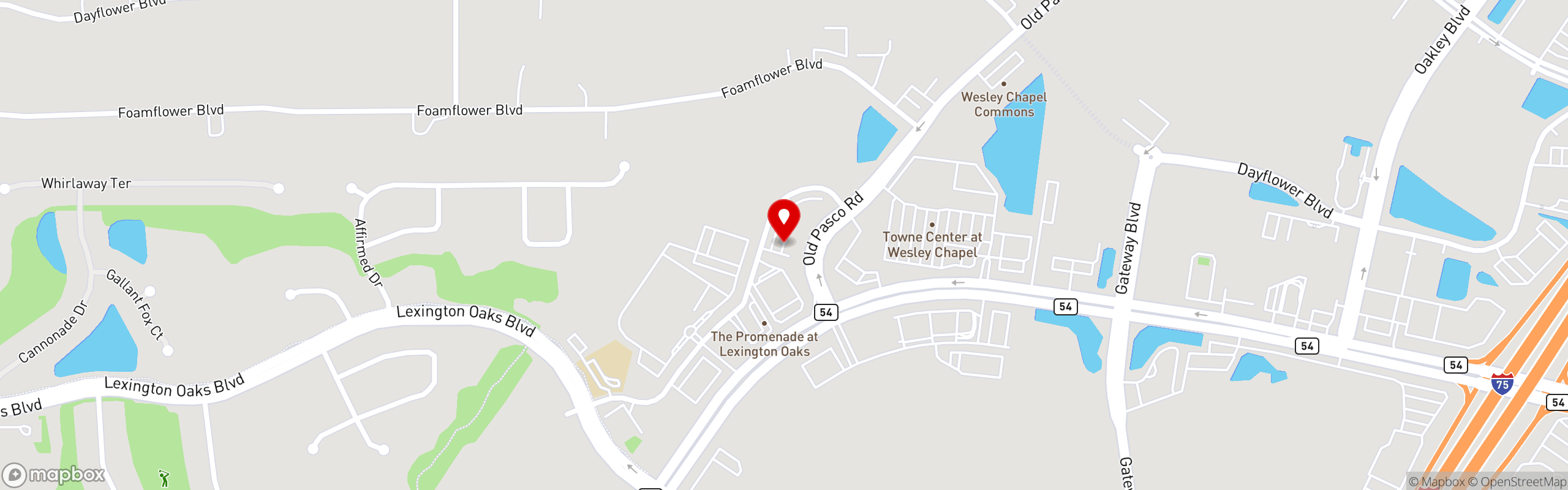 Street map pinning Moschella's Italian Eatery & Market in Wesley Chapel