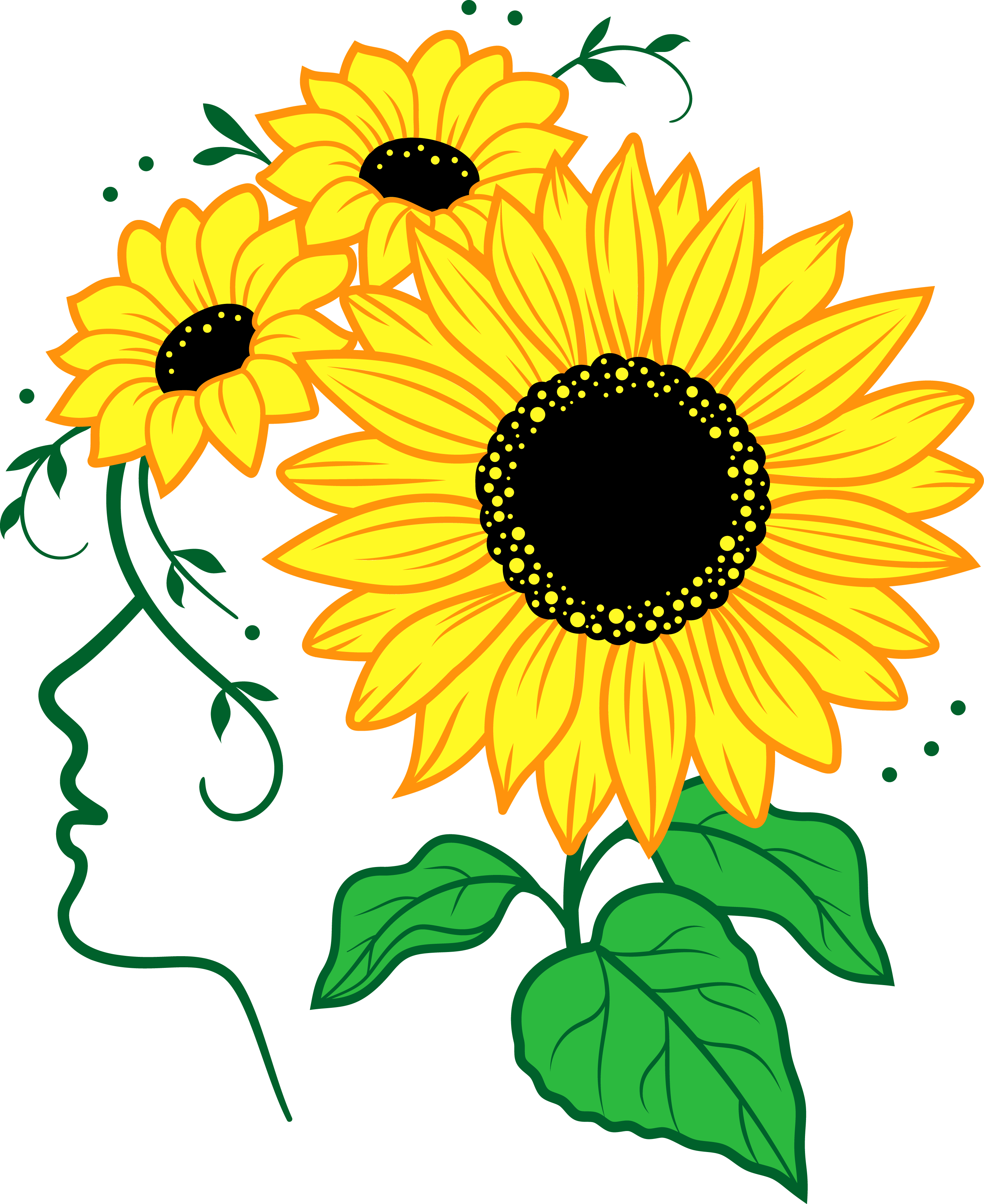 sunflower outline clipart virginia