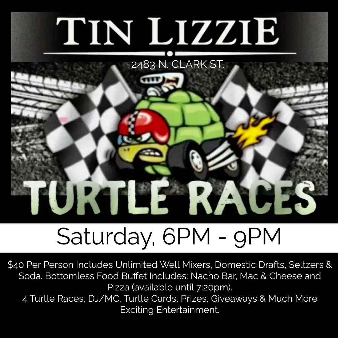 Turtle Races The Tin Lizzie Sports Bar in Chicago IL