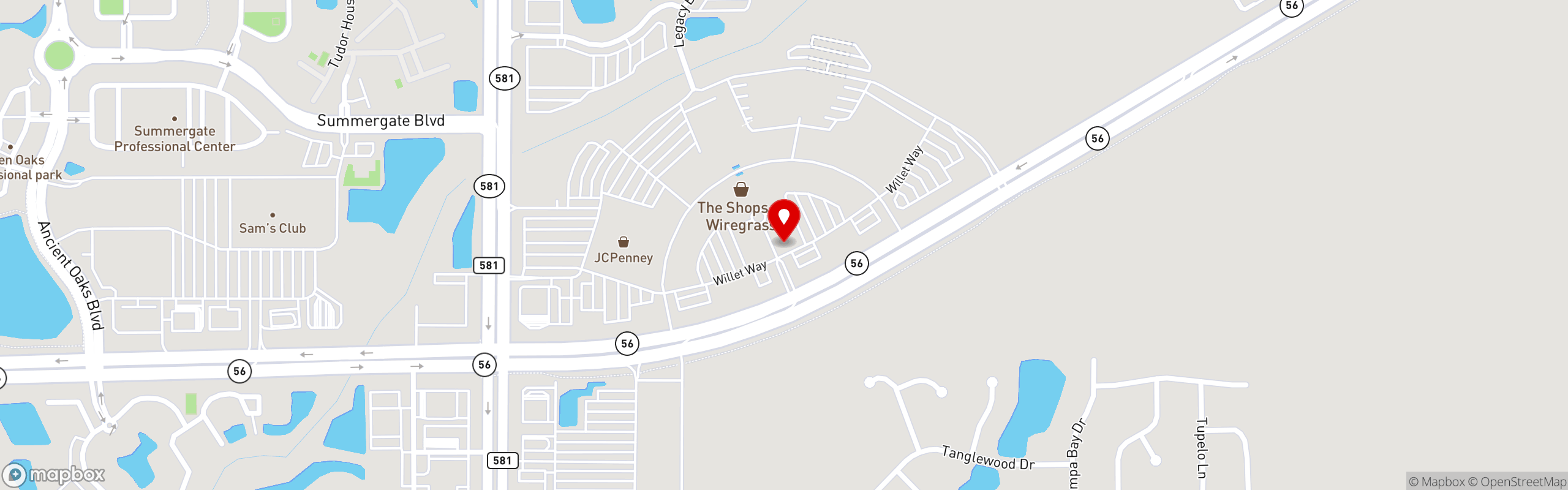 Street map pinning GRILLSMITH Restaurants in Grillsmith Wesley Chapel
