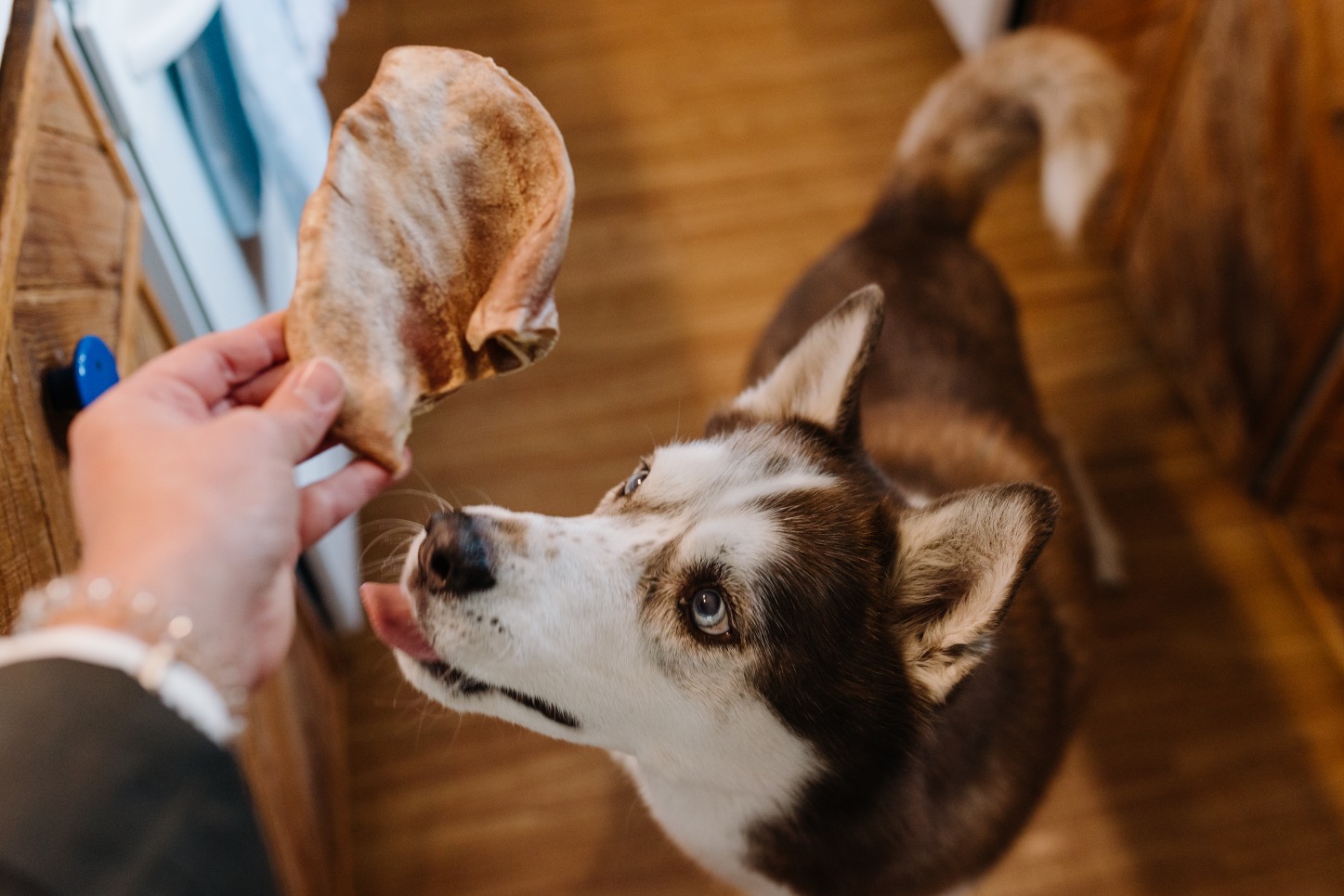 Whole Grain Turkey - Leaps & Bones