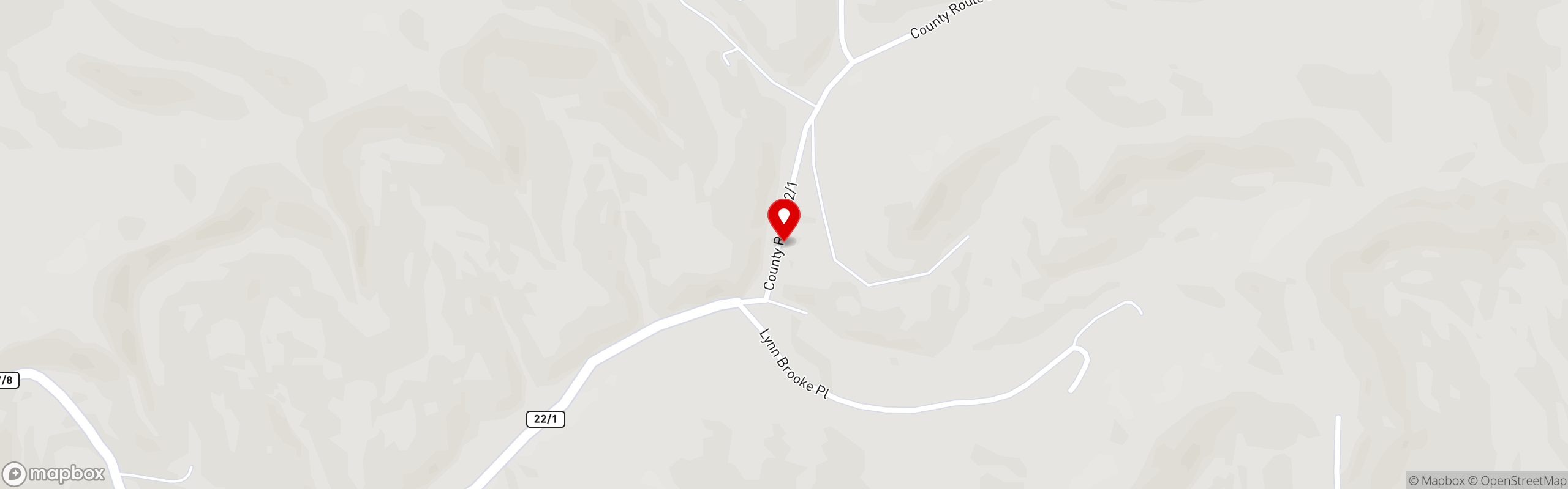 Street map pinning Shoney's in Flatwoods (Sutton), WV