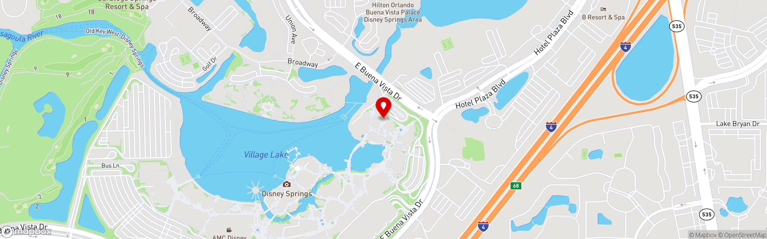 Street map pinning eet in Disney Springs