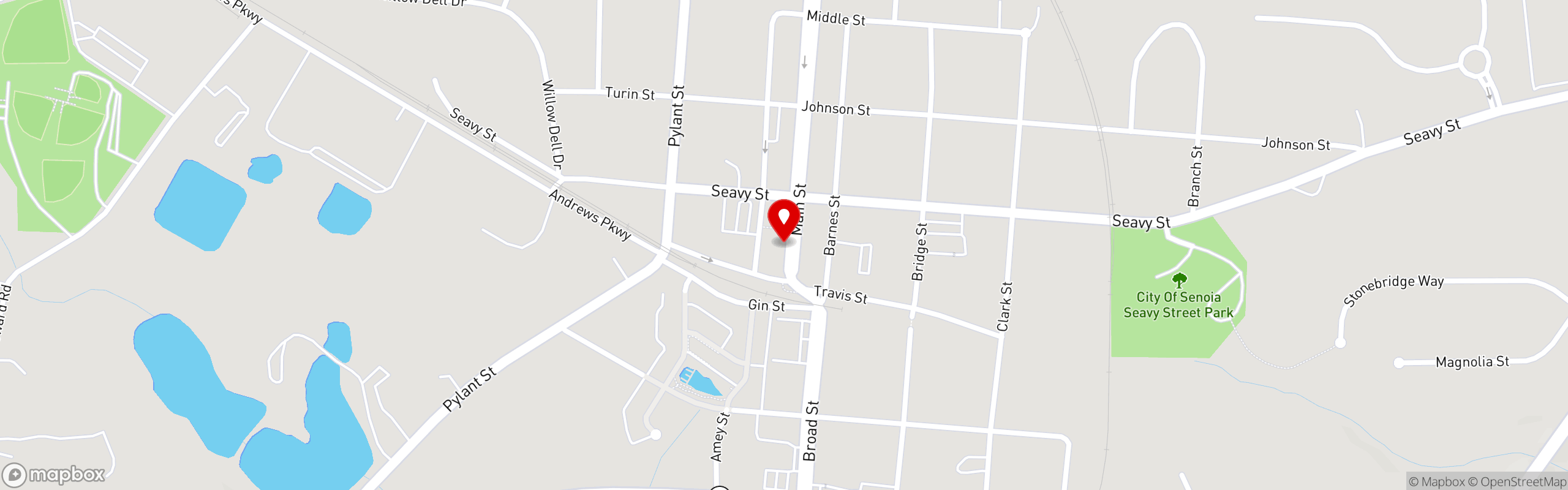 Street map pinning Nic & Norman's in Senoia