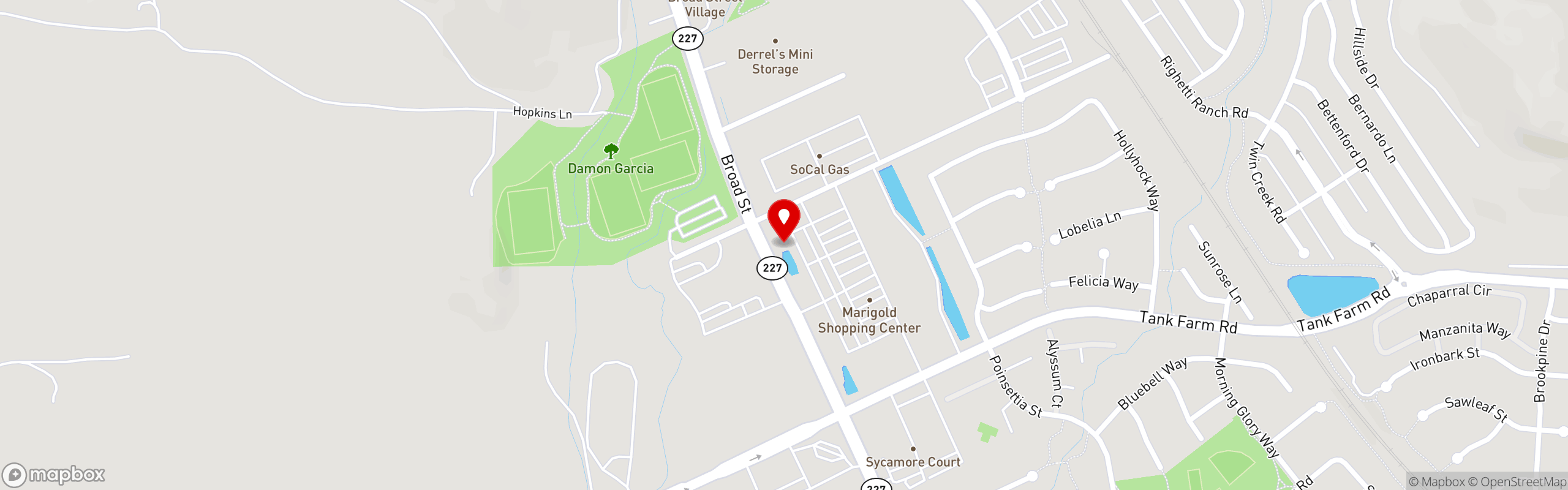 Street map pinning Shalimar Restaurant in Marigold Center