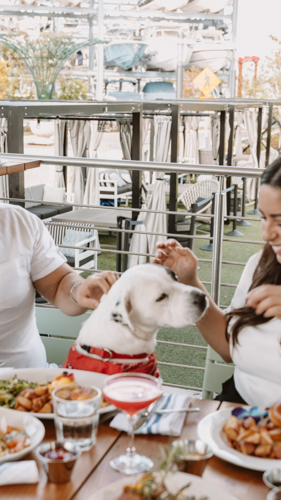 Home - Coconut Grove Restaurant | Waterfront Dining & Bar | Miami | Bayshore  Club