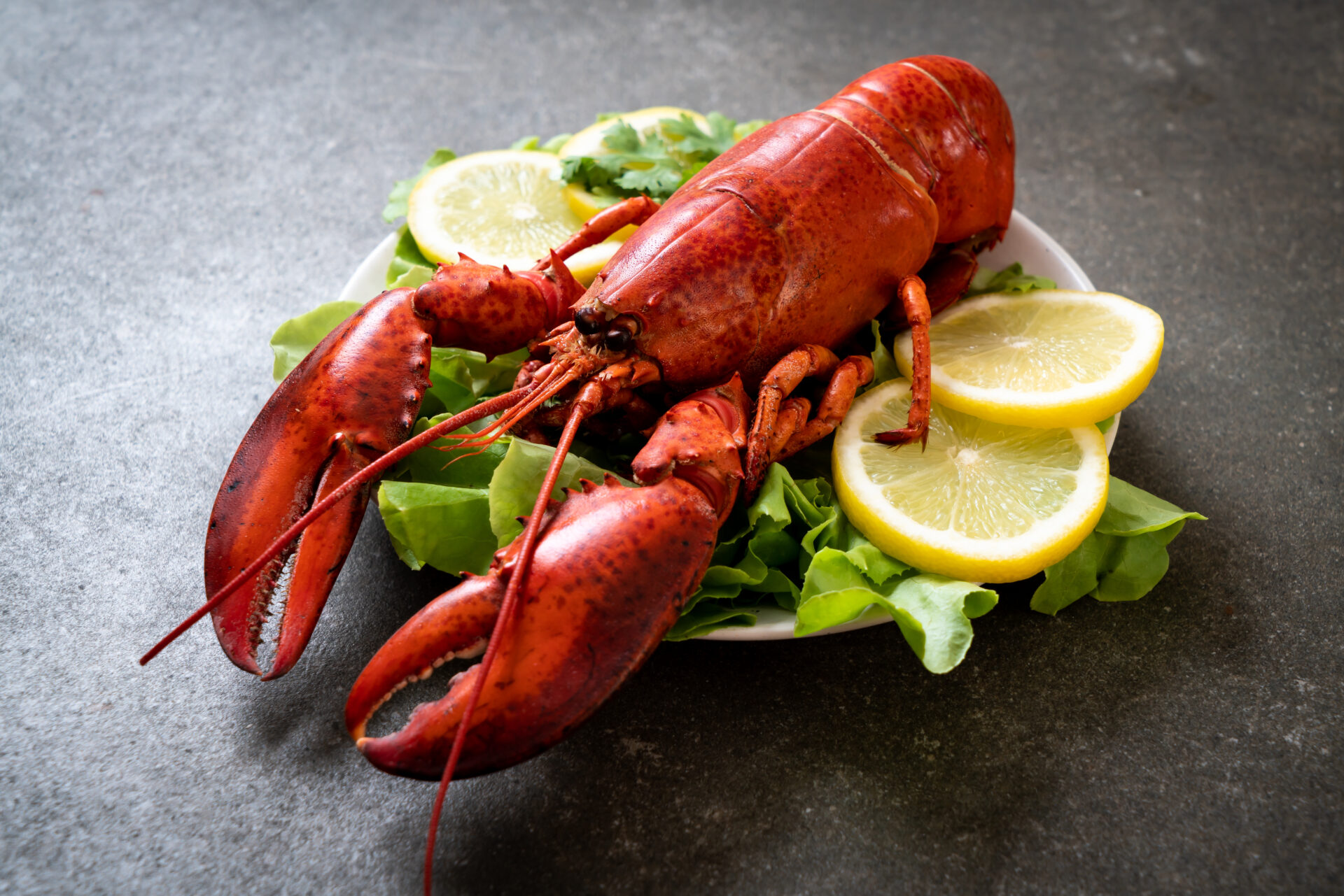 Bay Haven Lobster Pound - Restaurant in Cornish, ME