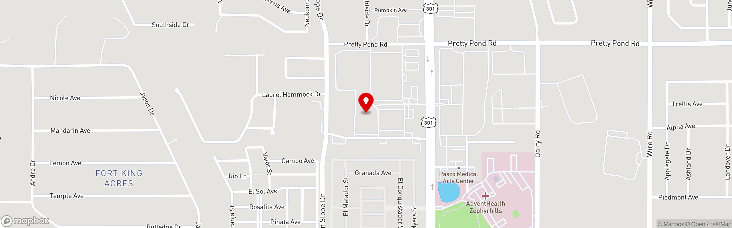 Street map pinning Breakfast Station in Breakfast Station (Zephyrhills)