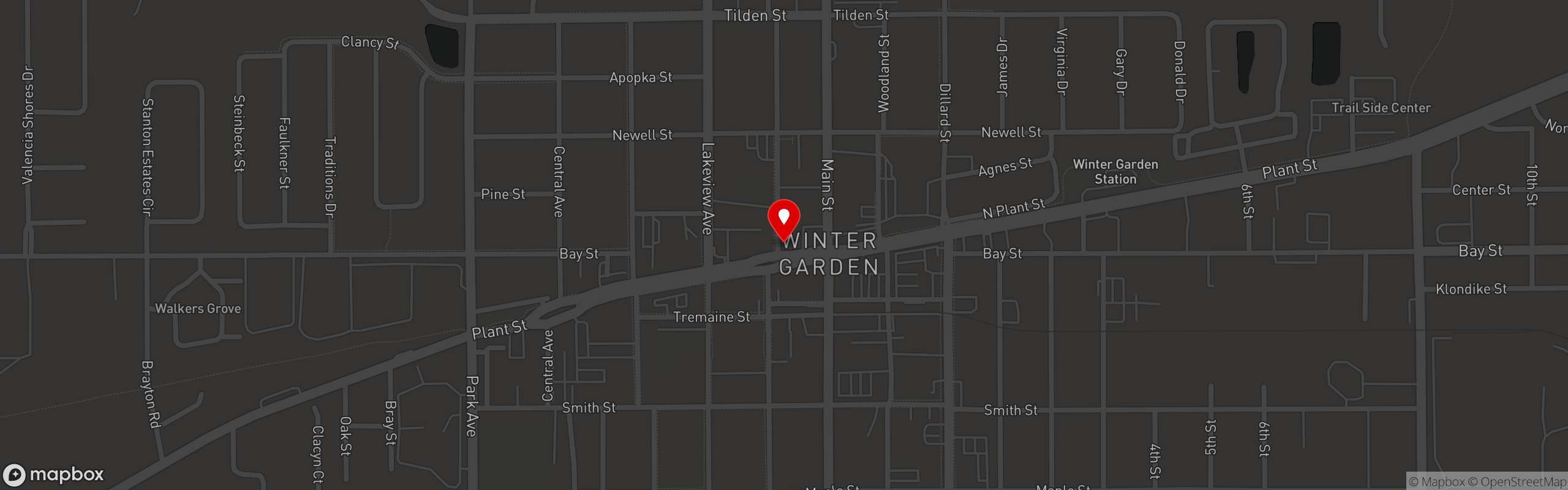 Street map pinning Chef's Table in Winter Garden, FL