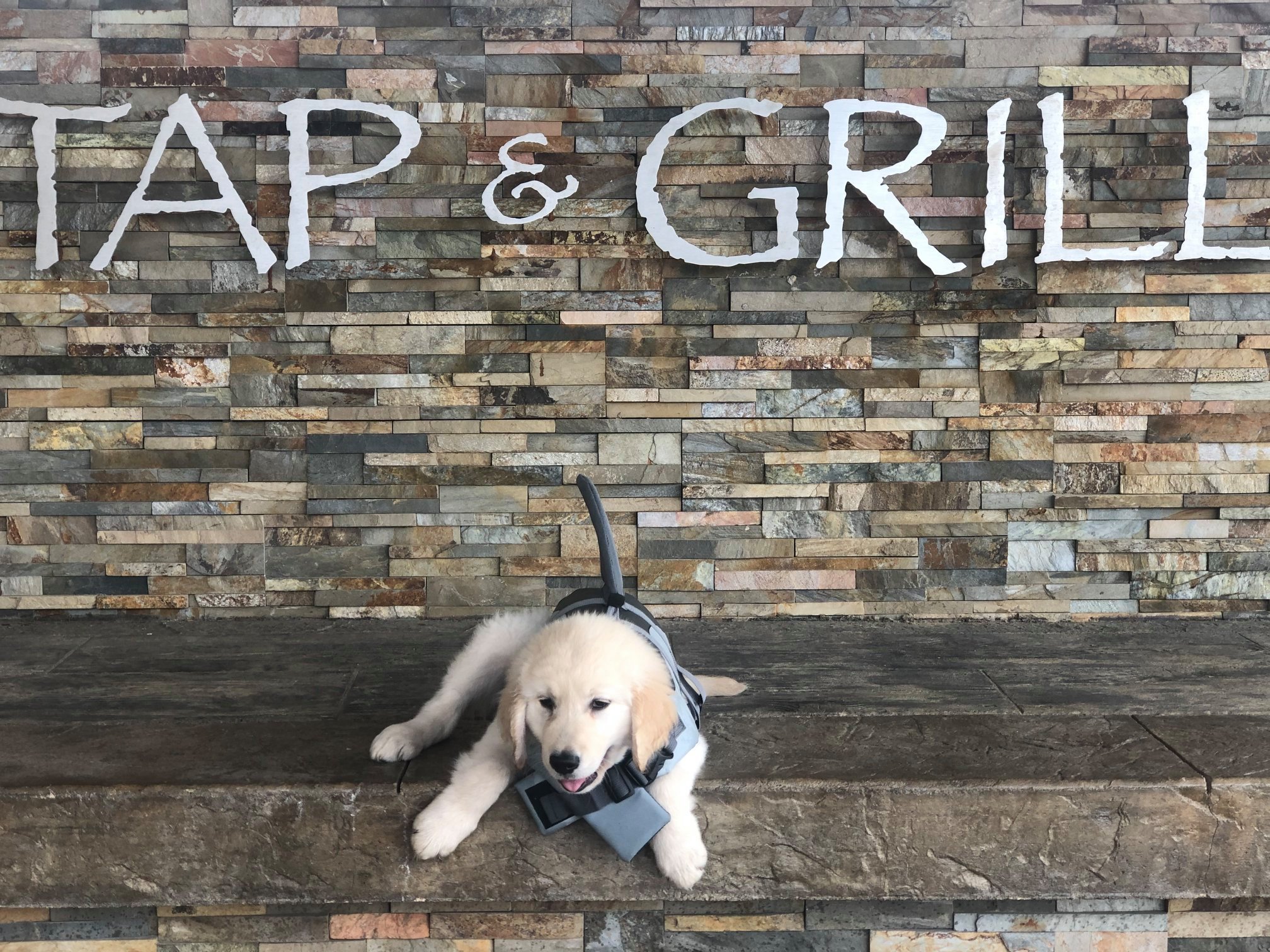 Tap & Grill Lakeside Brew Haus - Fine Dining Restaurant in Gravois