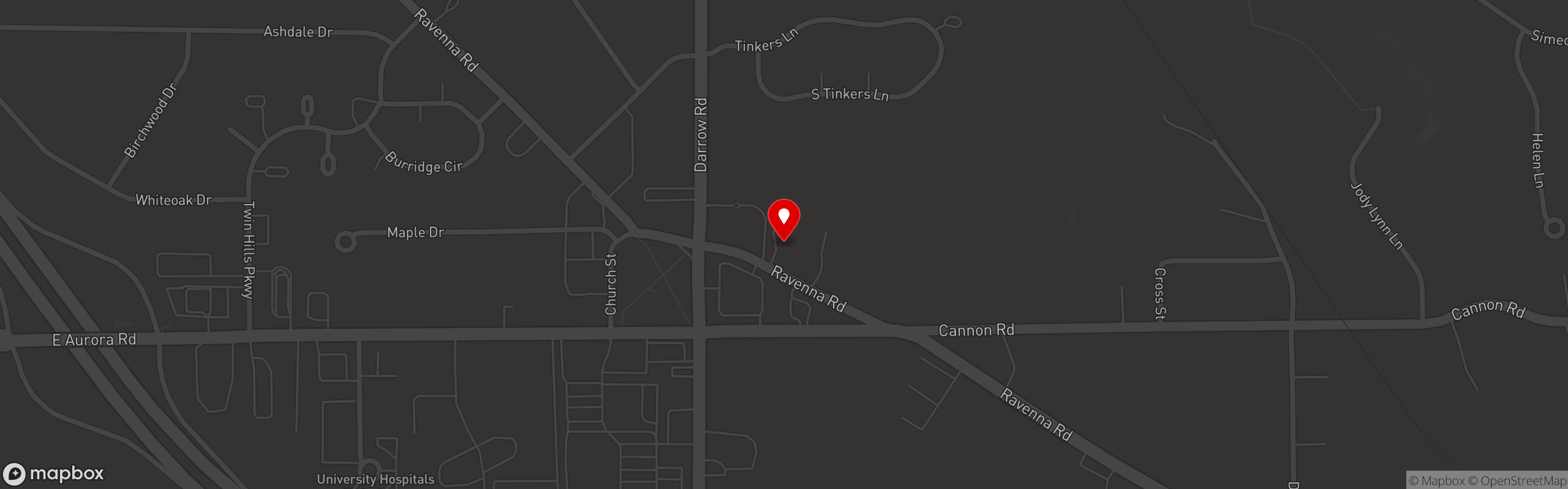 Street map pinning Master Pizza in Twinsburg