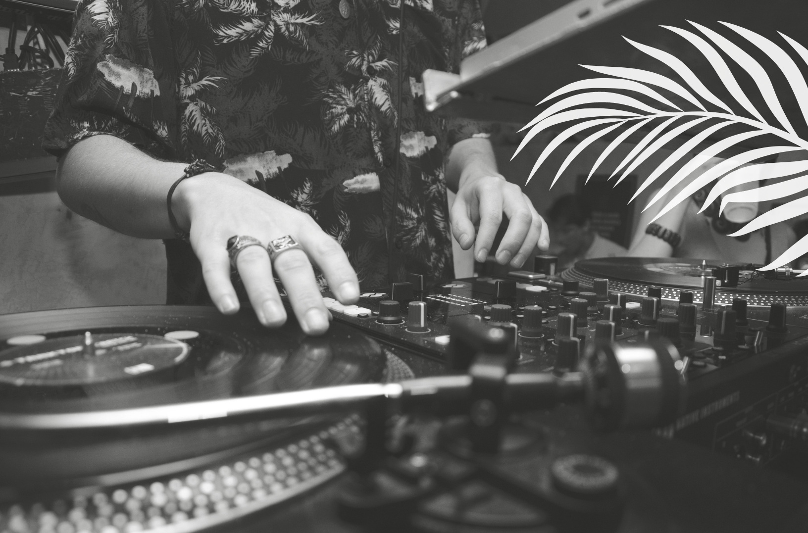 DJ Night at Bar Goa
