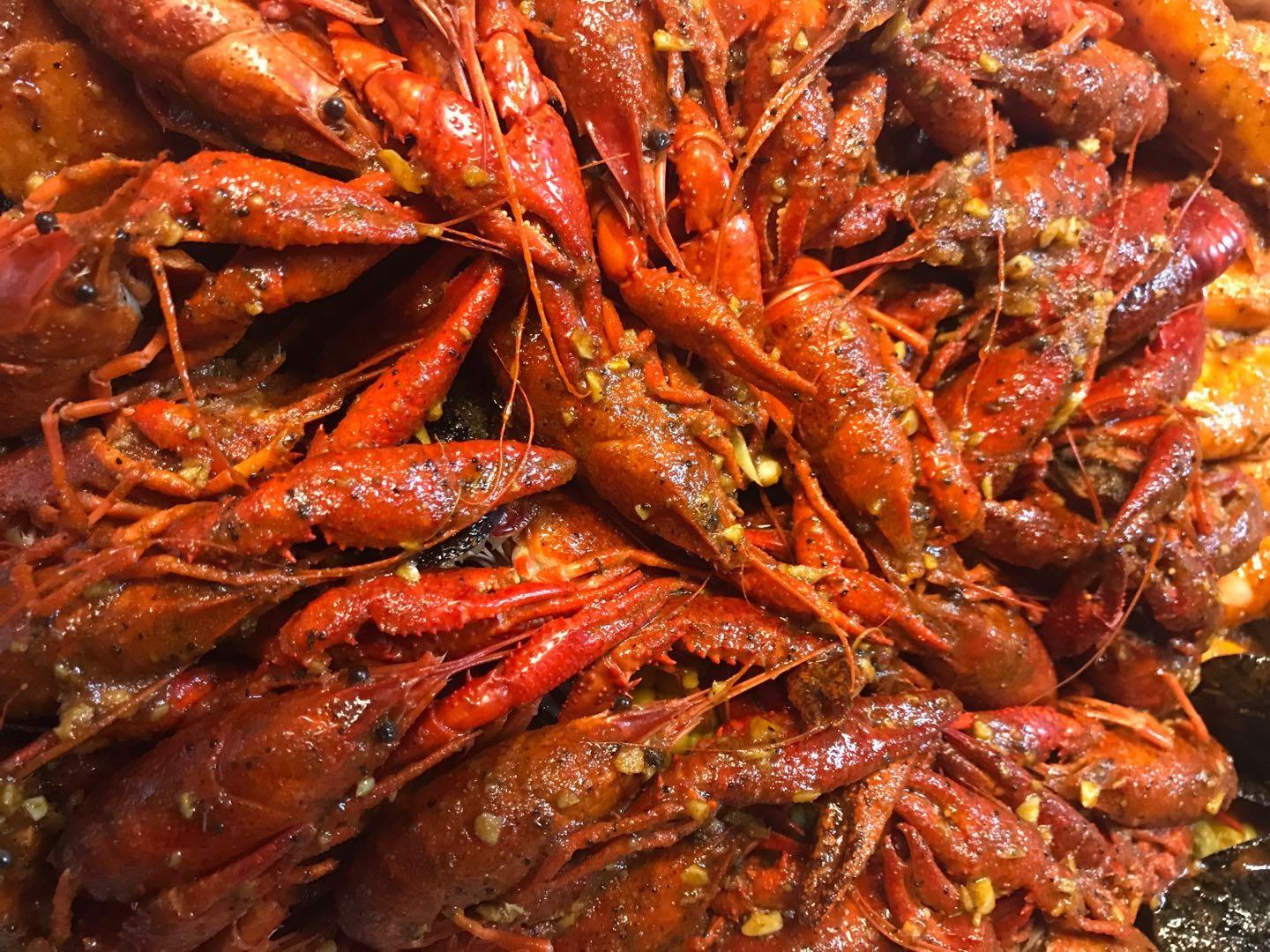 Crazy Crab Lady Stars Tazza In Ceramica 325 Ml, Bianca, Lavabile In Lavastoviglie E Microonde