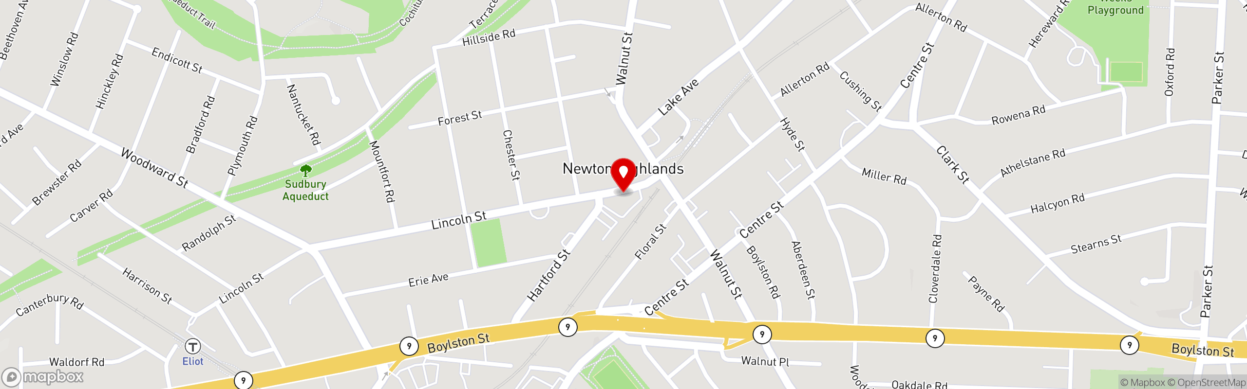 Street map pinning Grape Leaf Mediterranean Grille in Newton, MA