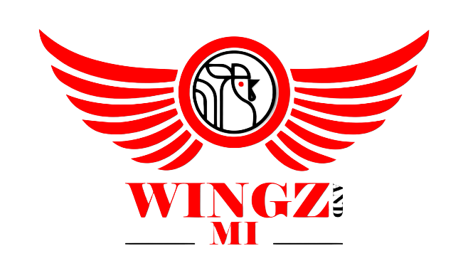 ORIGINAL MI - FOOD - Wingz & Mi - Asian Restaurant in MURRIETA 