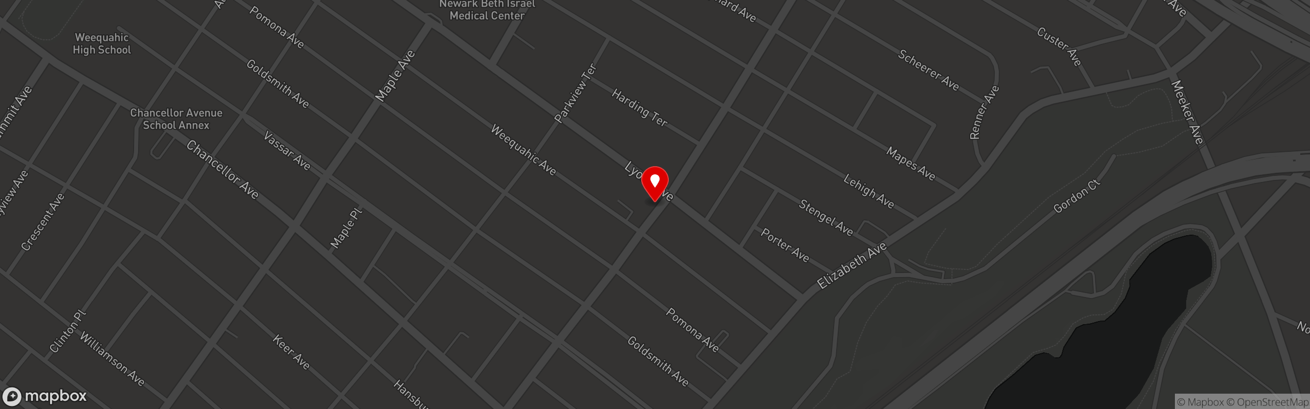 Street map pinning Ambassador Fish and Chicken in Newark - Lyons Ave