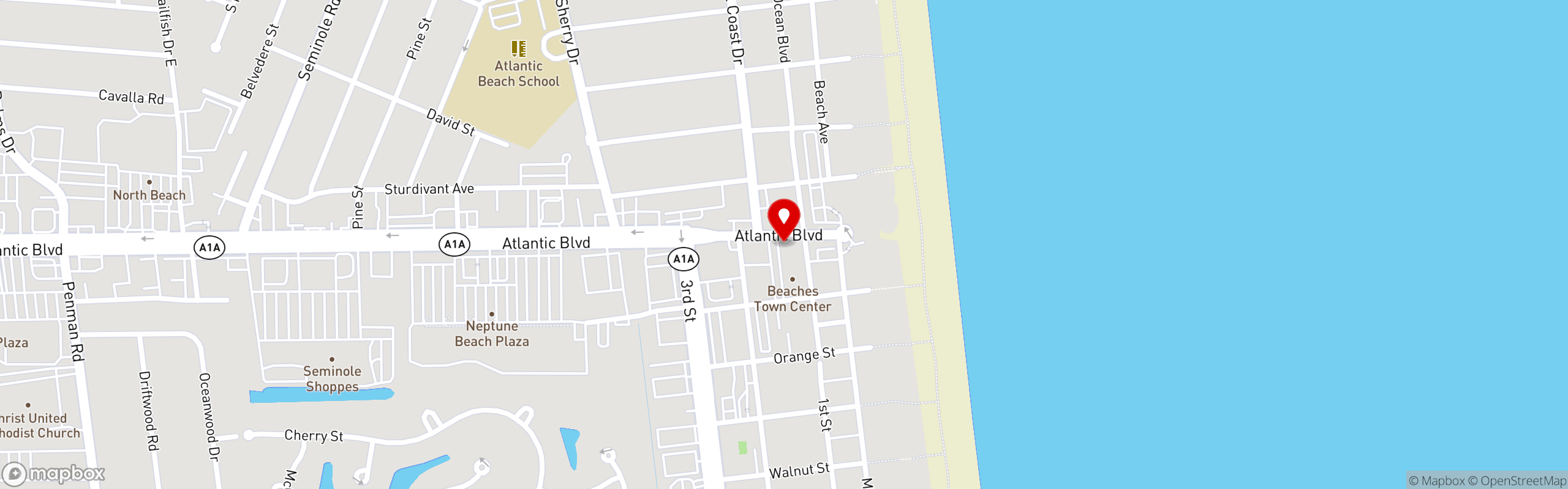Street map pinning Flying Iguana in Neptune Beach