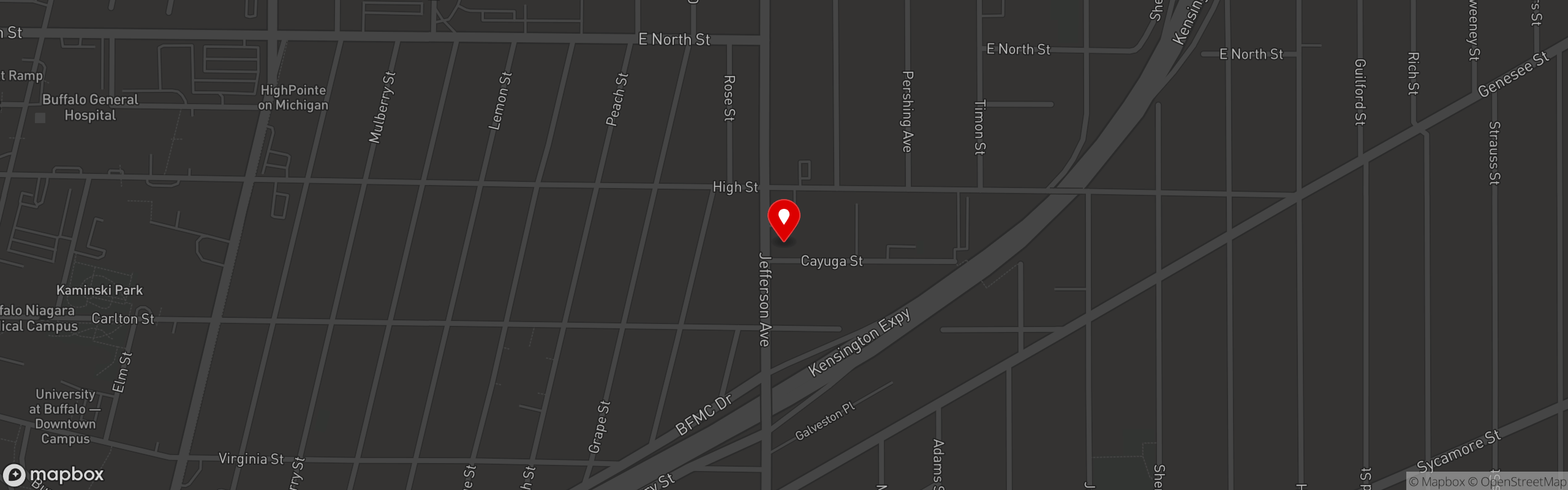 Street map pinning Sunshine Vegan Eats in Buffalo, NY