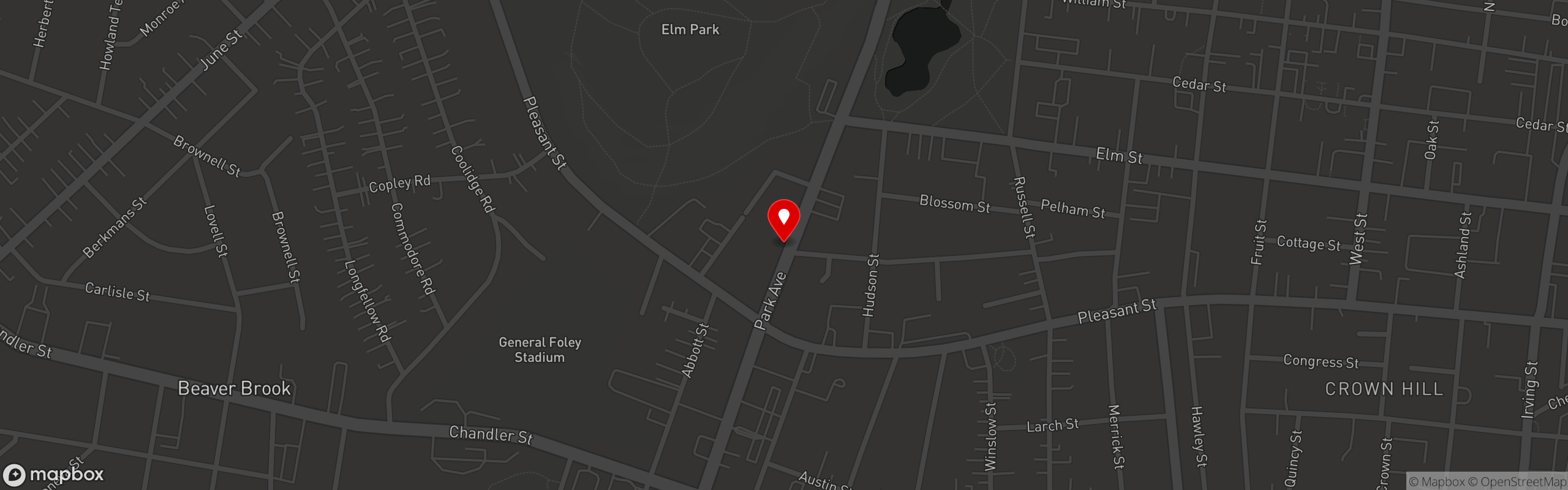 Street map pinning El Basha Restaurant in Park Ave.