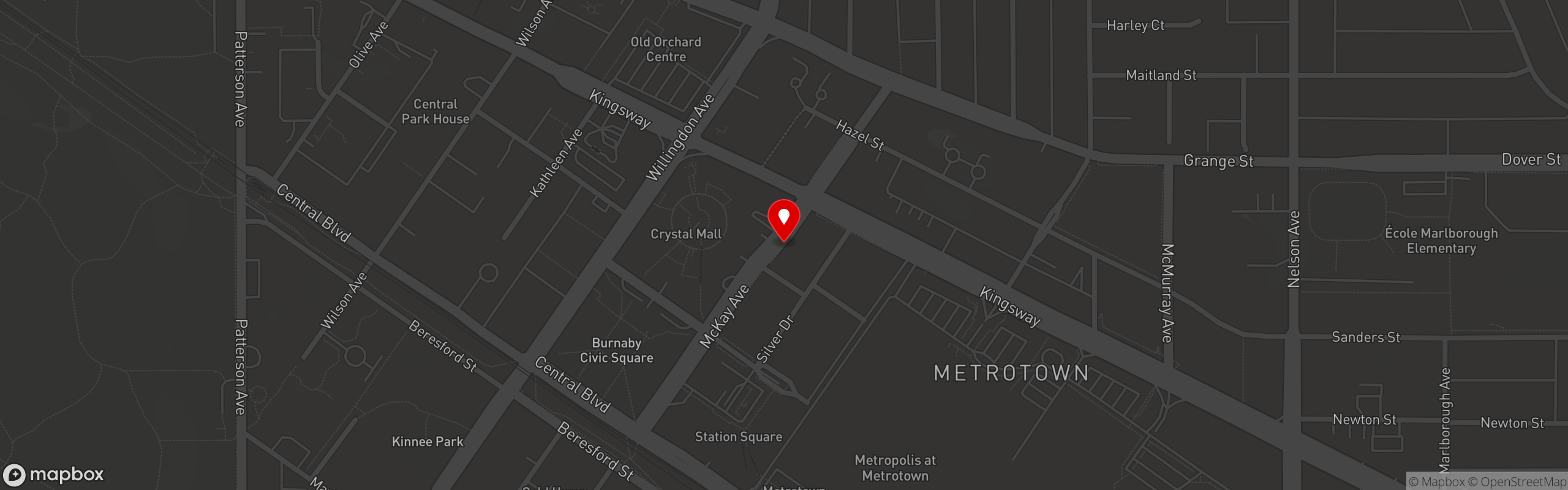 Street map pinning Brooklyn Dumpling Shop in McKay Avenue